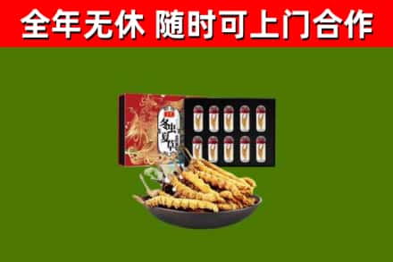 门头沟回收冬虫夏草价格